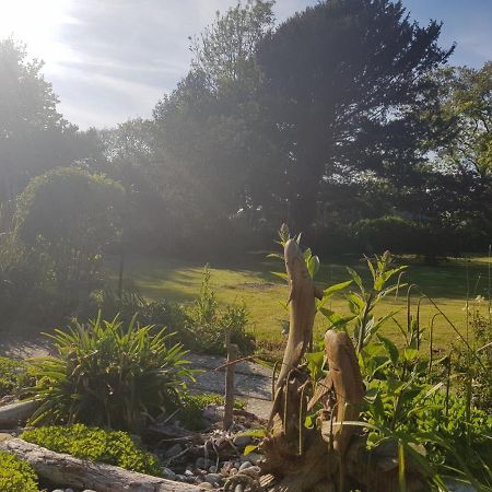 Kingsmede Bed & Breakfast 文特诺 外观 照片